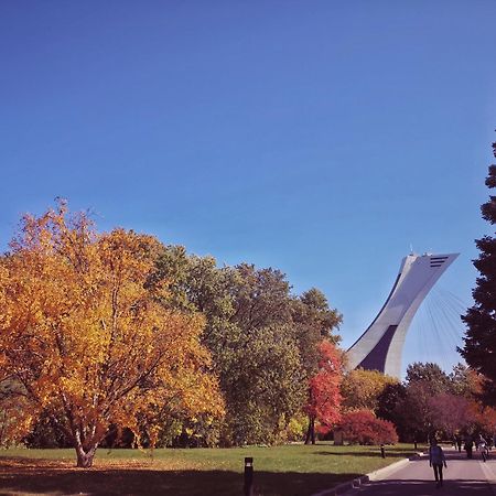 Homa Homestay Hotel By Olympic Stadium Montreal Auberge-Hostel Kültér fotó