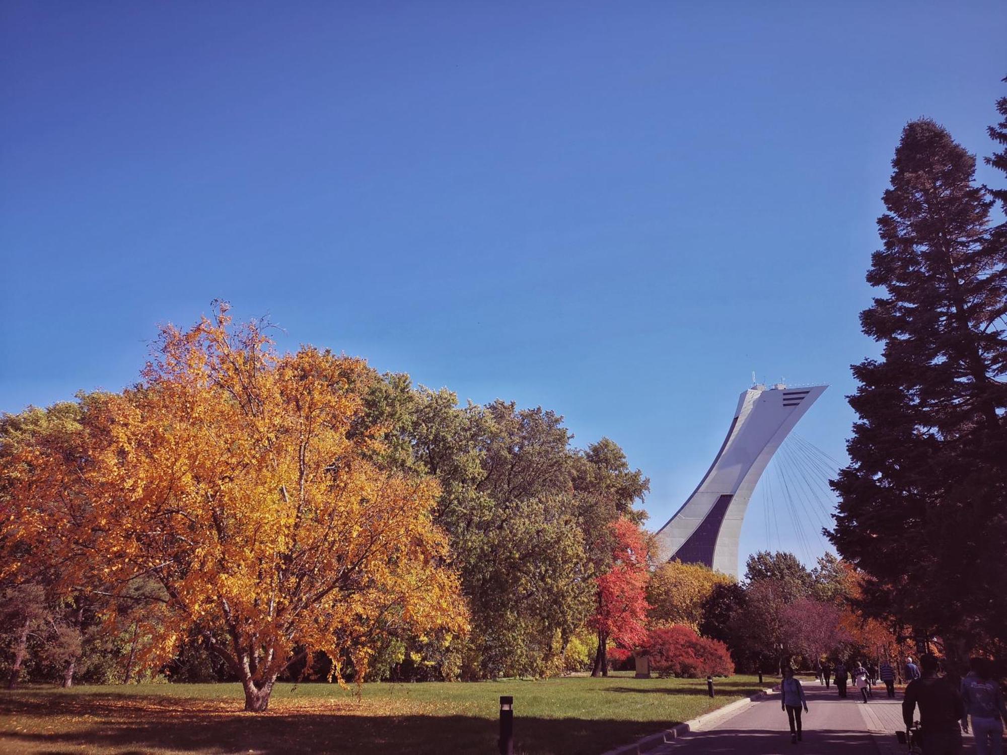Homa Homestay Hotel By Olympic Stadium Montreal Auberge-Hostel Kültér fotó